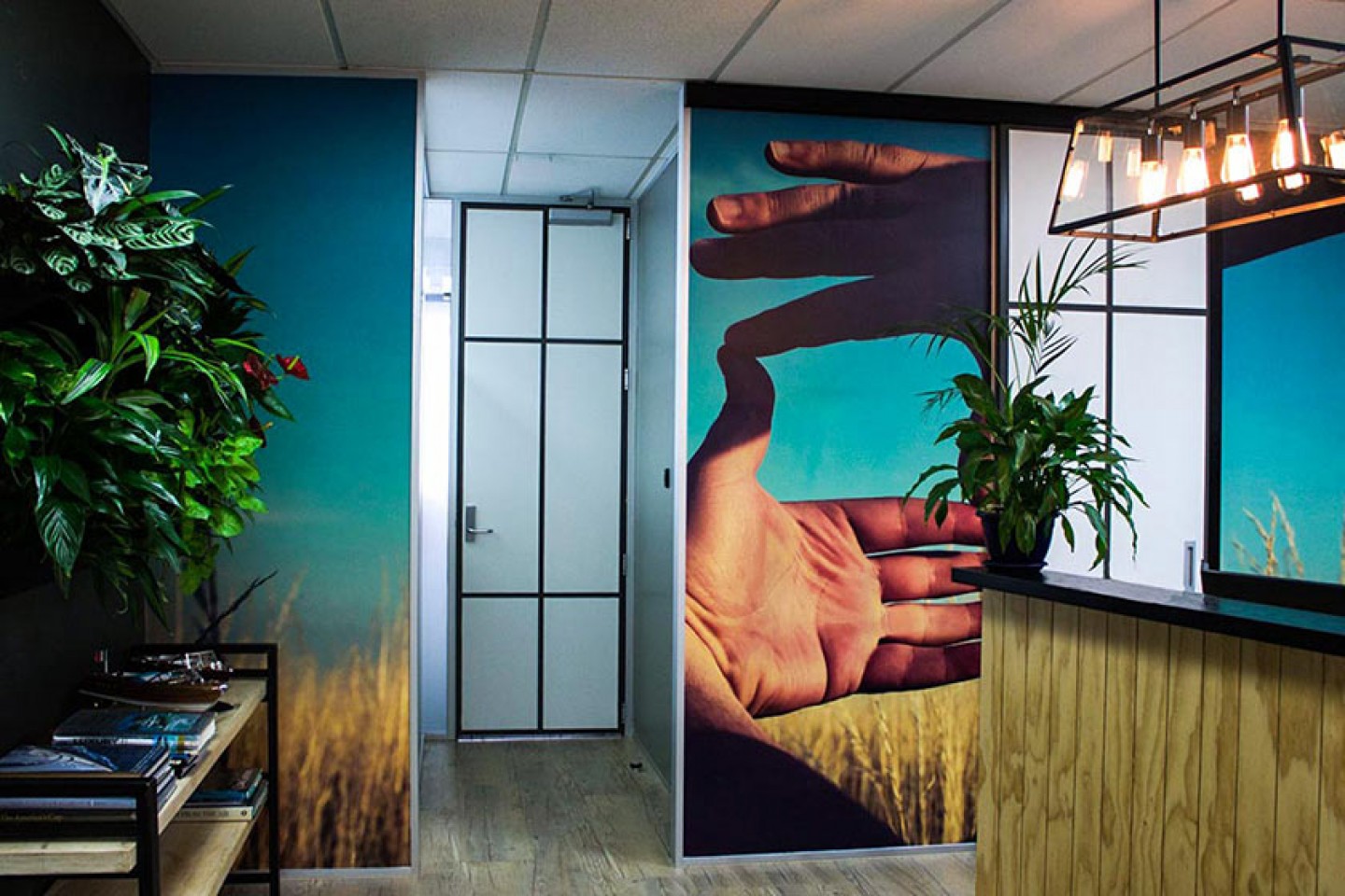 airborne-signs-wall-graphics-&murals